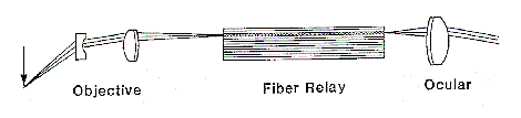 figure2_fiber-endo